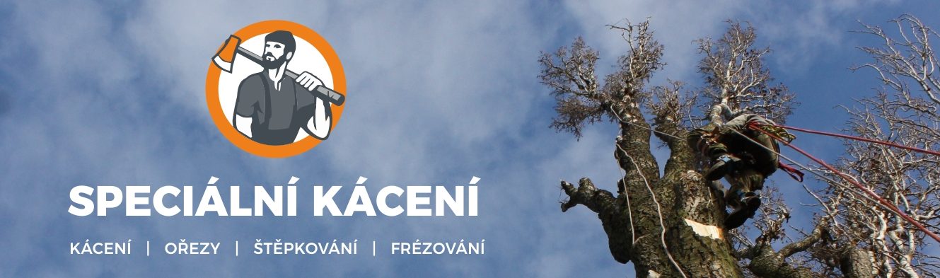Speciální kácení